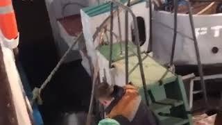 Теплоход Бородино