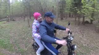 моноколесо лес не только тропинки