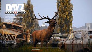 Dayz | Dayz Expansion | Стройка | Base Building