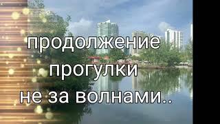 Miami.  Florida 2020.  прогулка  по  океану на яхте
