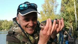 #форель #fishpark #trout  ФОРЕЛЬ ДЛЯ ЧАЙНИКОВ- Рыбалка для новичков
